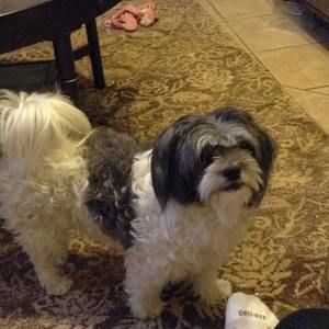 Meet your Posher, Esther